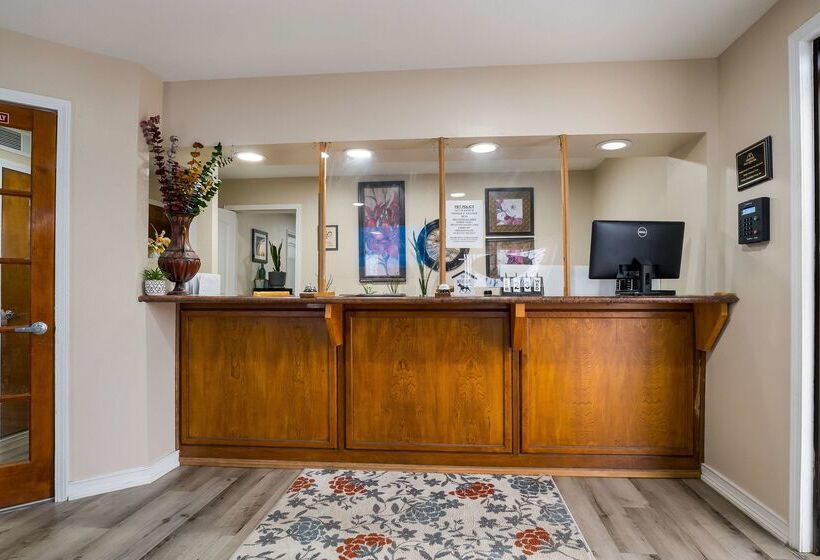 בית מלון כפרי Americas Best Value Inn Refugio