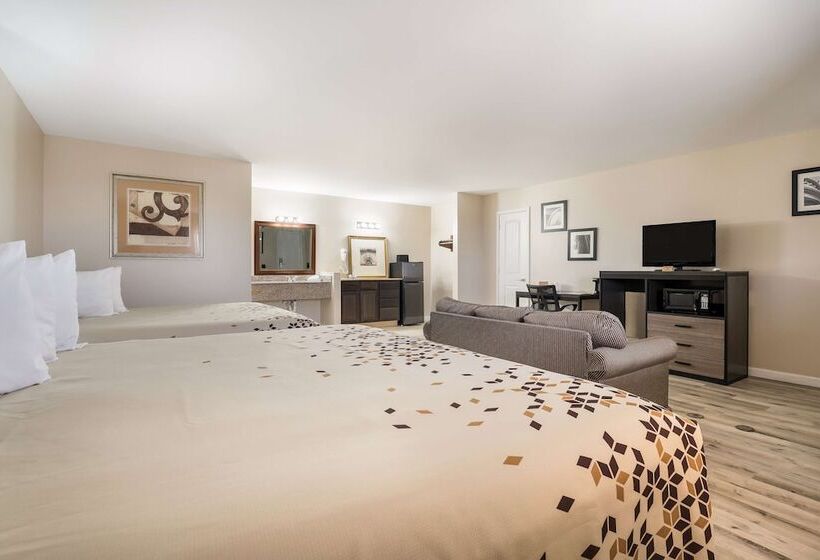 בית מלון כפרי Americas Best Value Inn Refugio