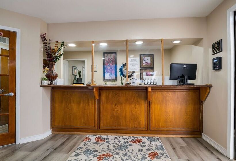 בית מלון כפרי Americas Best Value Inn Refugio