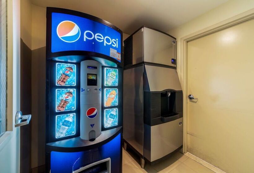 Best Western Plus Miami Airport North Hotel & Suites