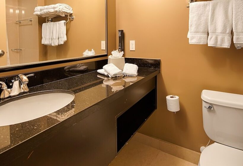 Best Western Plus Miami Airport North Hotel & Suites