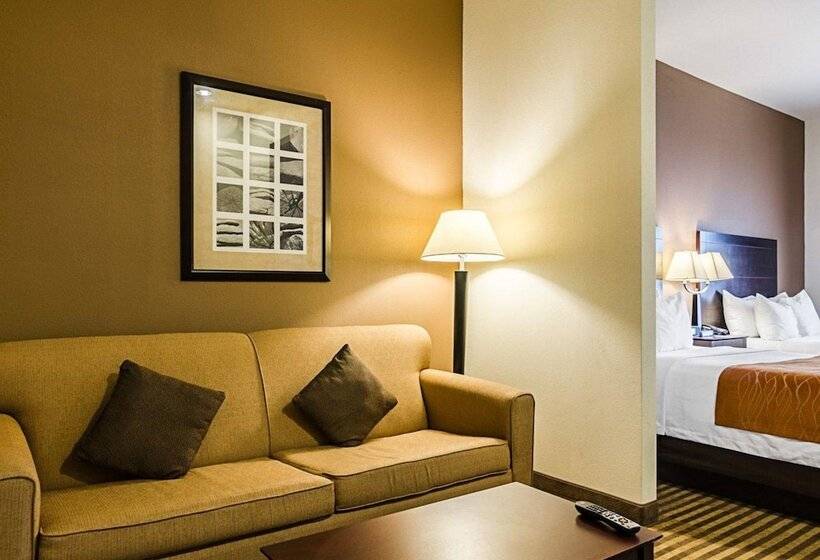 Отель Comfort Inn & Suites Lawrence  University Area