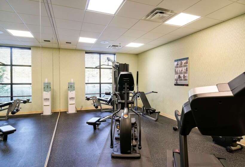 فندق Comfort Inn & Suites