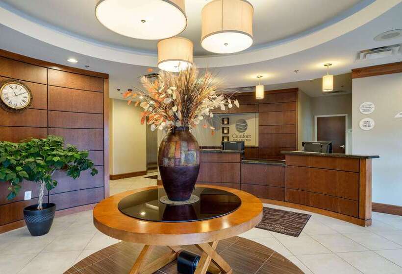 فندق Comfort Inn & Suites