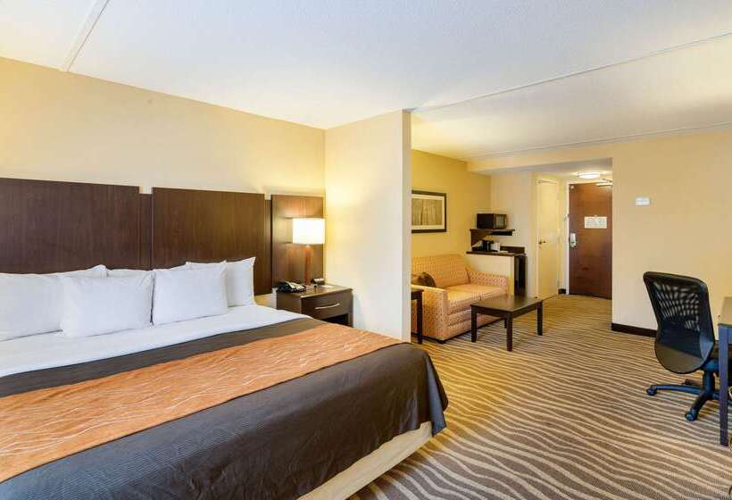 فندق Comfort Inn & Suites