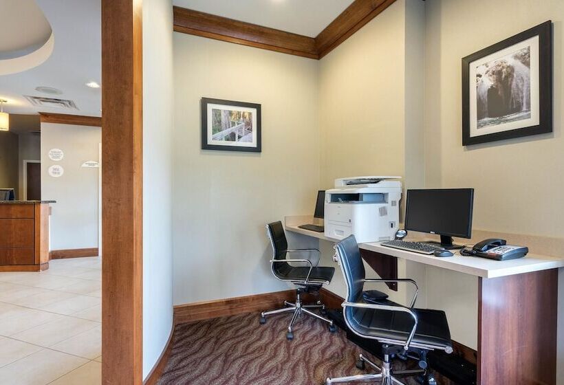 فندق Comfort Inn & Suites