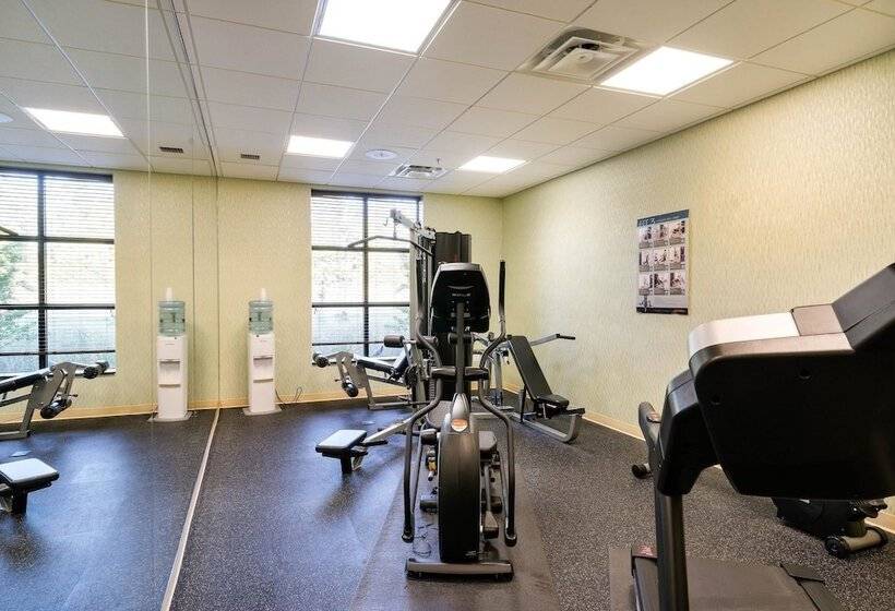 فندق Comfort Inn & Suites