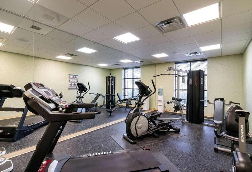 فندق Comfort Inn & Suites