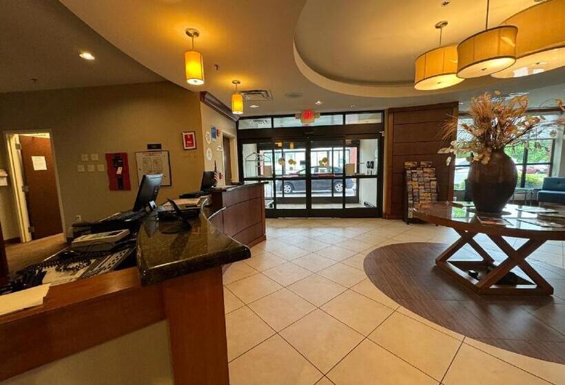 فندق Comfort Inn & Suites