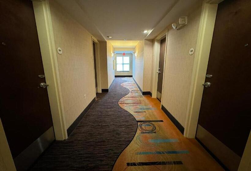 فندق Comfort Inn & Suites