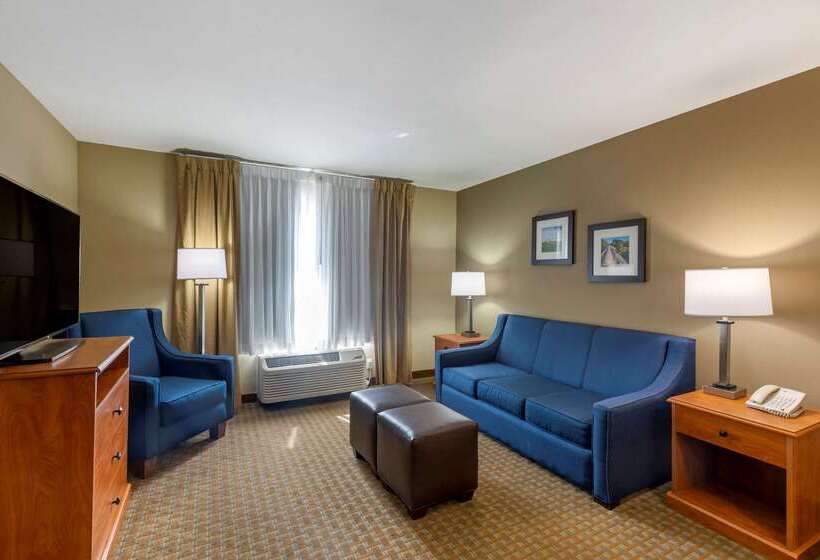בית מלון כפרי Comfort Inn & Suites Marion I57