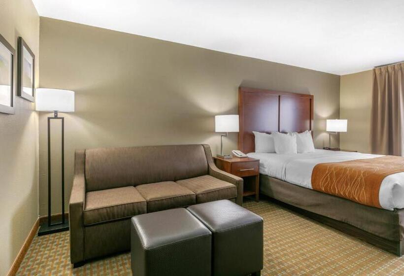 בית מלון כפרי Comfort Inn & Suites Marion I57