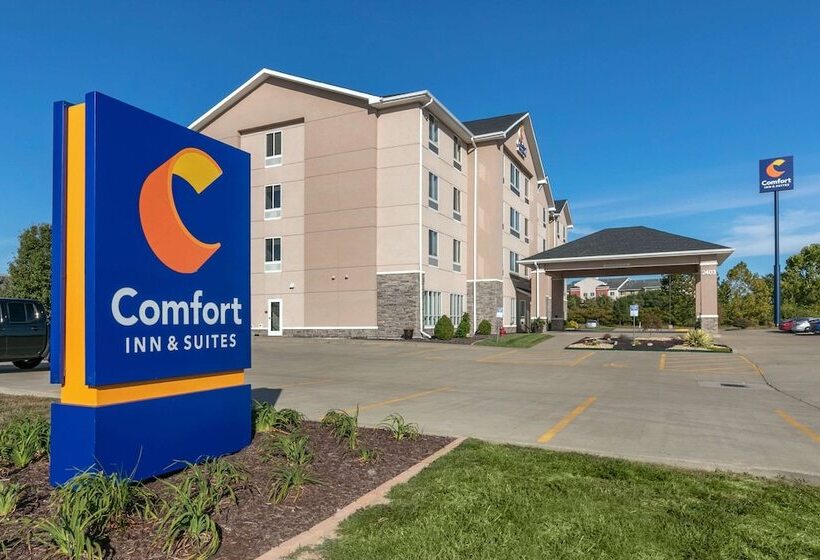 בית מלון כפרי Comfort Inn & Suites Marion I57