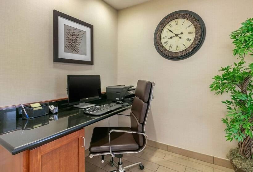 בית מלון כפרי Comfort Inn & Suites Marion I57