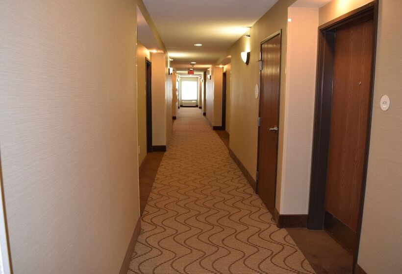 בית מלון כפרי Comfort Inn & Suites Marion I57