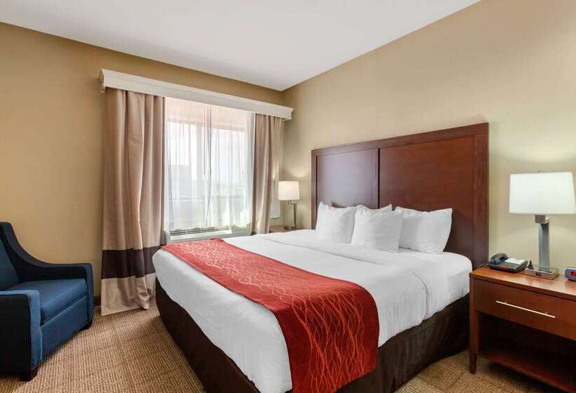 فندق Comfort Inn & Suites Page At Lake Powell