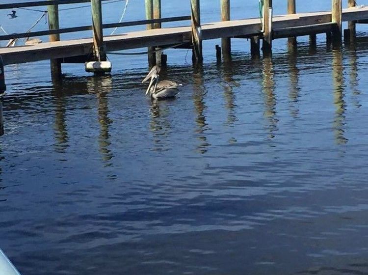 فندق Bridgewater Inn