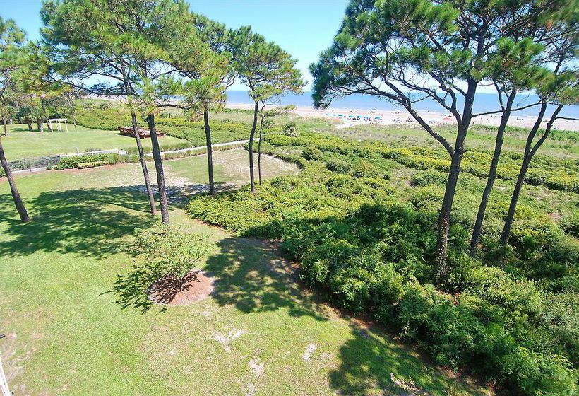 Отель Complejo Forest Beach Hilton Head Island