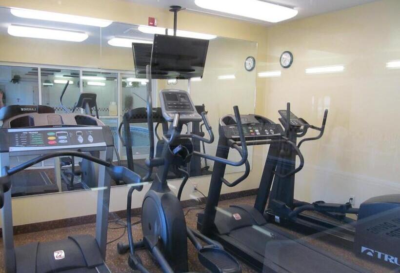 בית מלון כפרי Everspring Suites