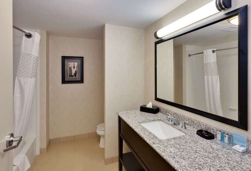 בית מלון כפרי Hampton Inn Seneca Falls