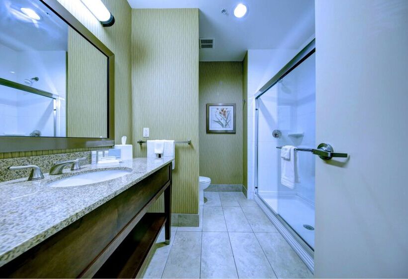 Отель Hampton Inn & Suites Harrisburg/north