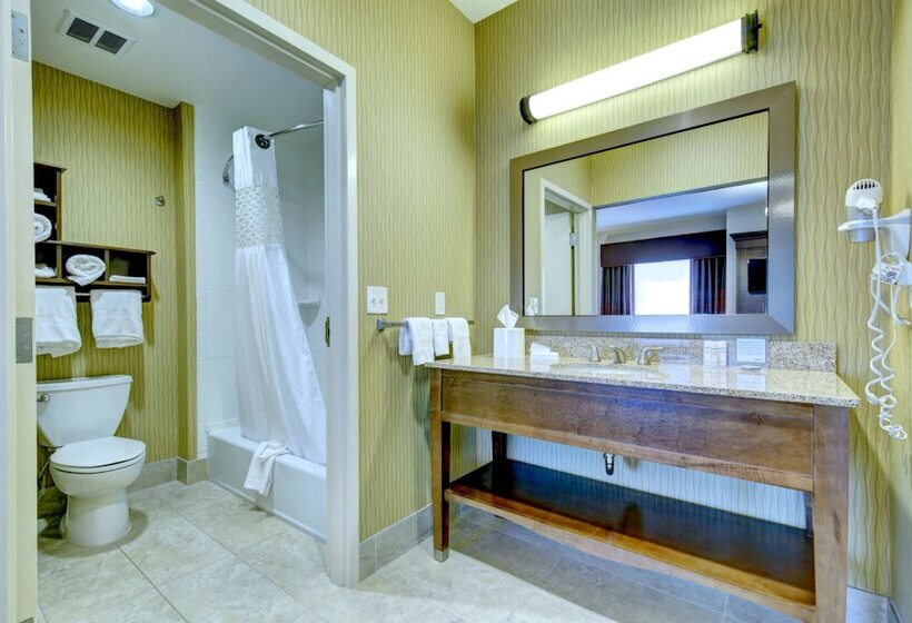 Отель Hampton Inn & Suites Harrisburg/north