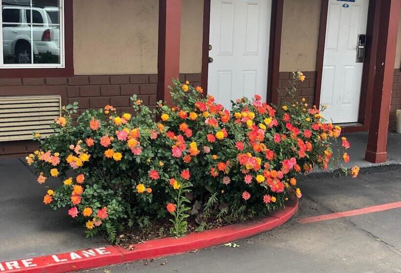 فندق Haven Inn Of Chico