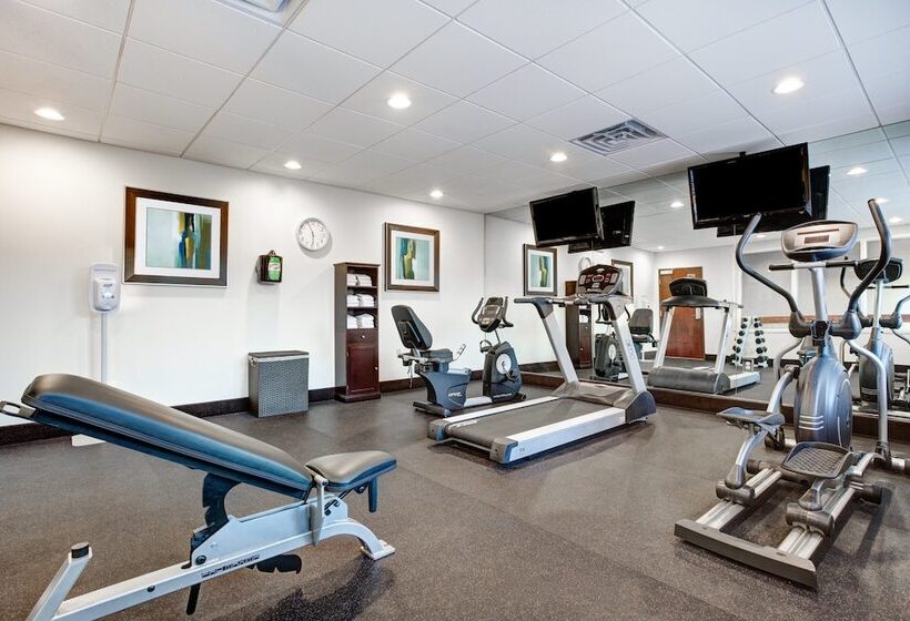 فندق Holiday Inn Express & Suites Raceland   Highway 90, An Ihg