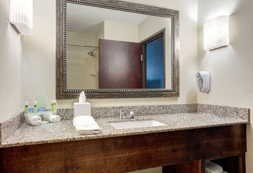 فندق Holiday Inn Express & Suites Raceland   Highway 90, An Ihg