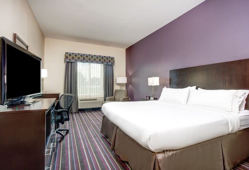فندق Holiday Inn Express & Suites Raceland   Highway 90, An Ihg