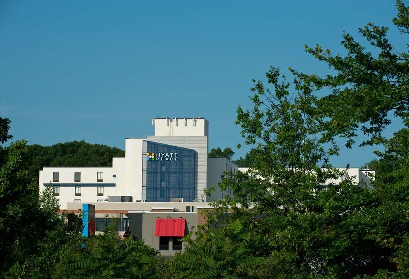 ホテル Hyatt Place Boston/braintree