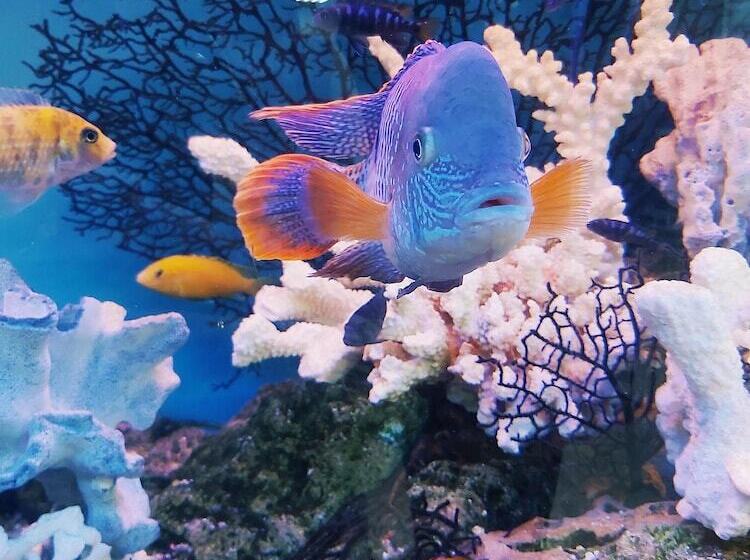 ホテル Hyatt Place Boston/braintree