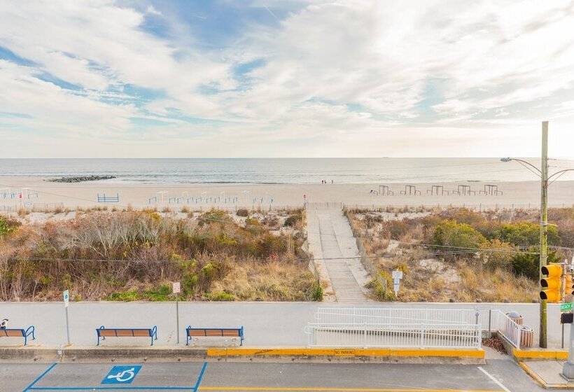 酒店 La Mer Beachfront Resort