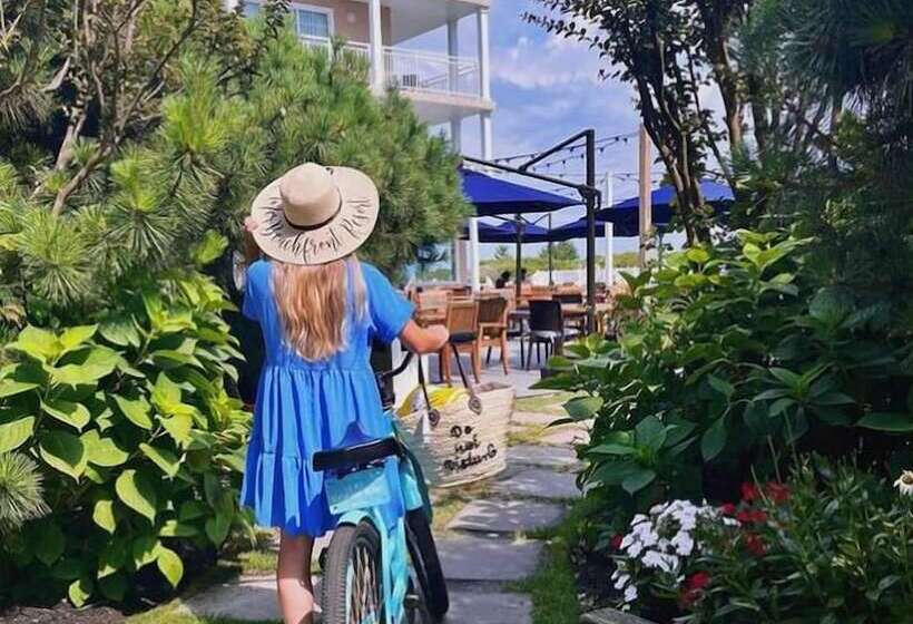 酒店 La Mer Beachfront Resort