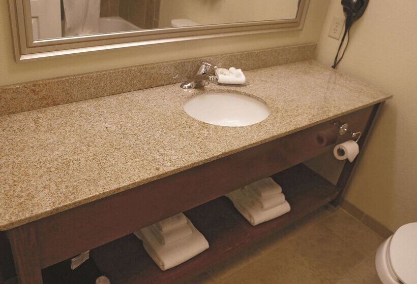 Отель La Quinta By Wyndham Dickinson