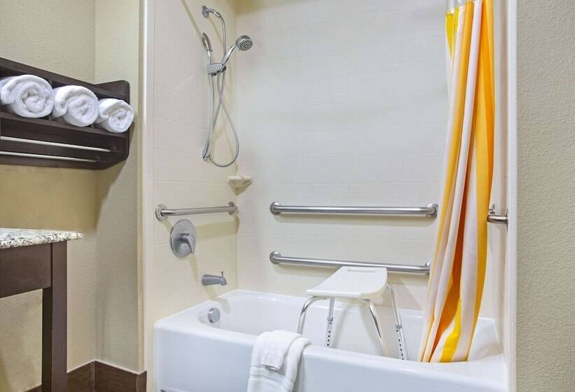 酒店 La Quinta By Wyndham Pearsall