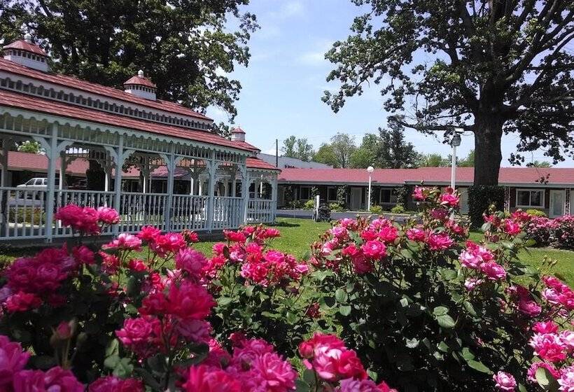 ホテル Murray Inn And Art Gallery