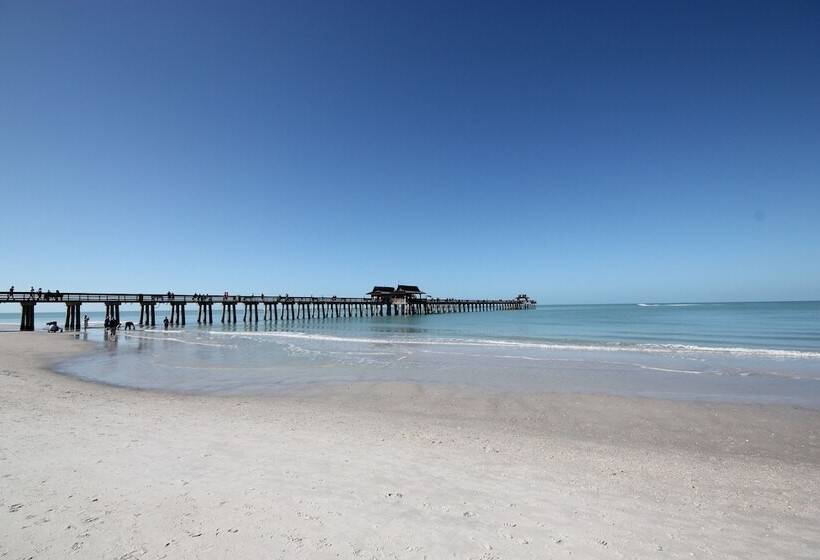 호텔 Naples Park Central