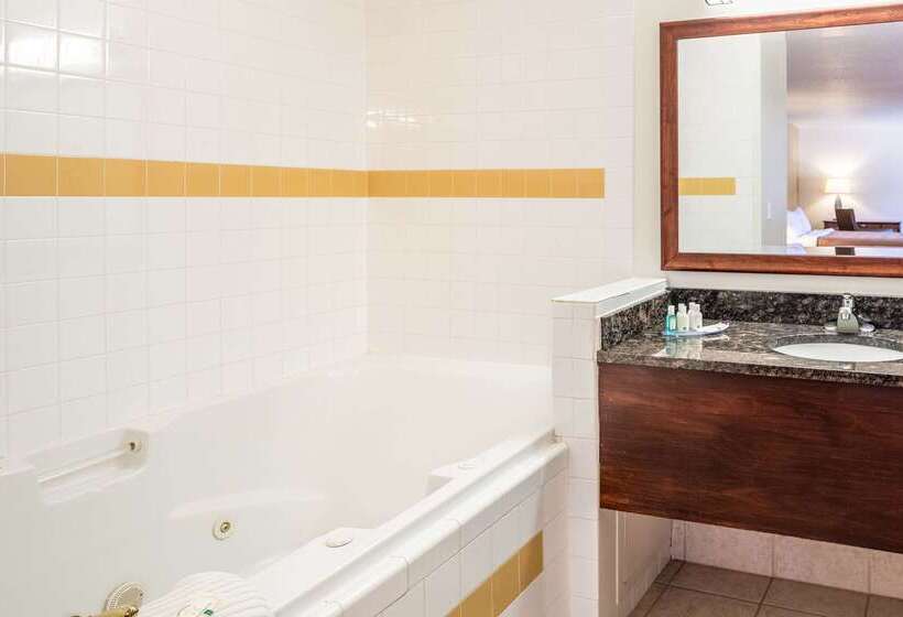 酒店 Quality Inn Keystone Near Mount Rushmore