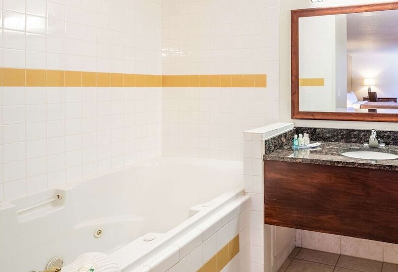 酒店 Quality Inn Keystone Near Mount Rushmore