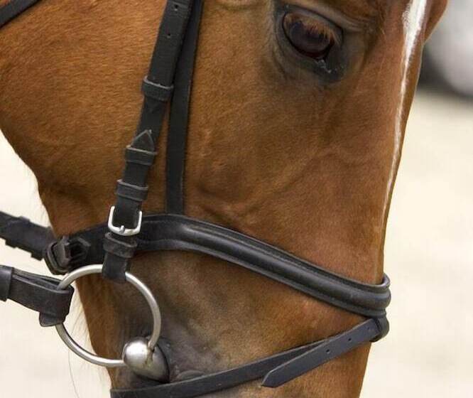 Ramada By Wyndham Venice Hotel Venezia