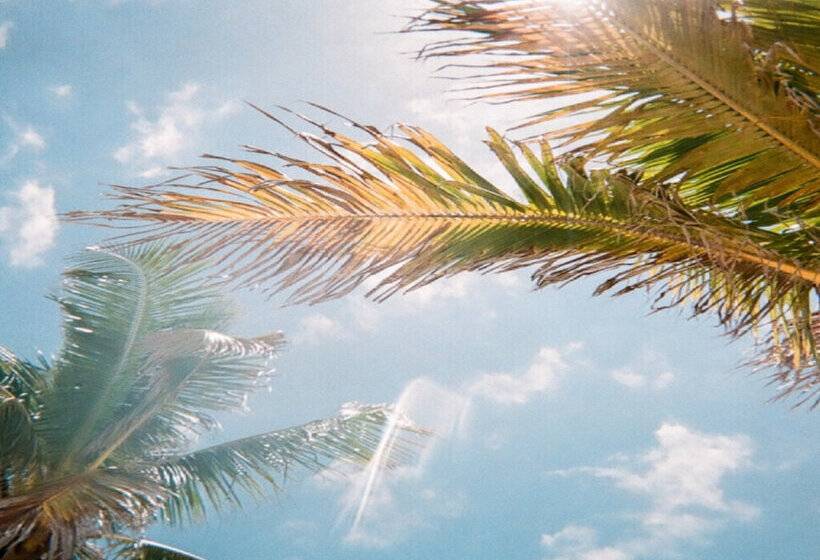 Отель Ridley House - Key West Historic Inns