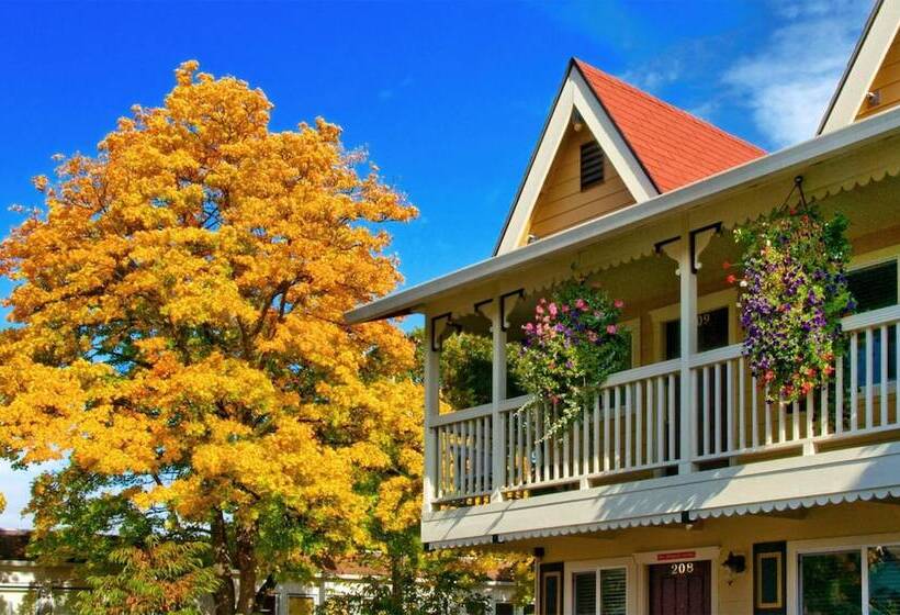 호텔 Silverton Inn & Suites
