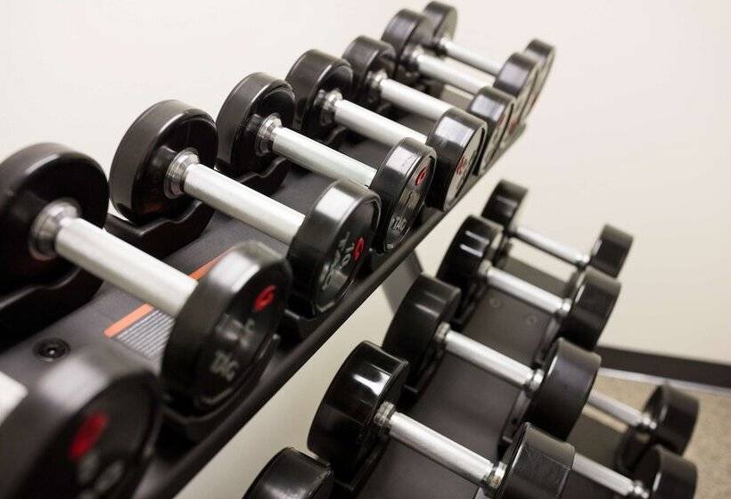 Отель Skyler Syracuse Tapestry Collection By Hilton