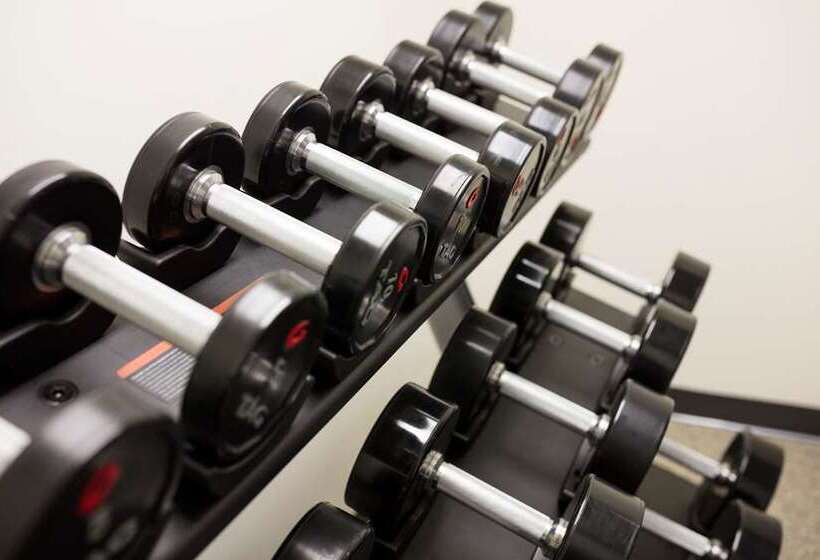 Отель Skyler Syracuse Tapestry Collection By Hilton