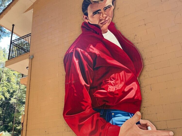 בית מלון כפרי The Historic Brookdale Lodge, Santa Cruz Mountains