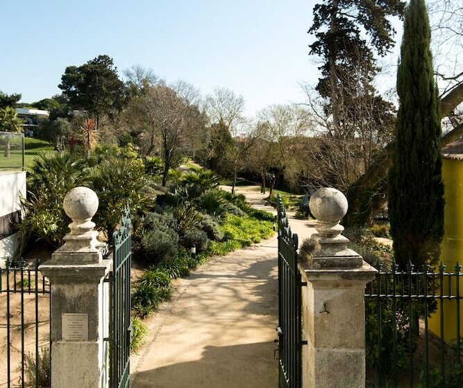 Отель Vila Gale Collection Palacio Dos Arcos