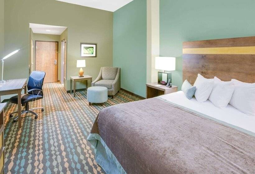 هتل Wingate By Wyndham Bossier City
