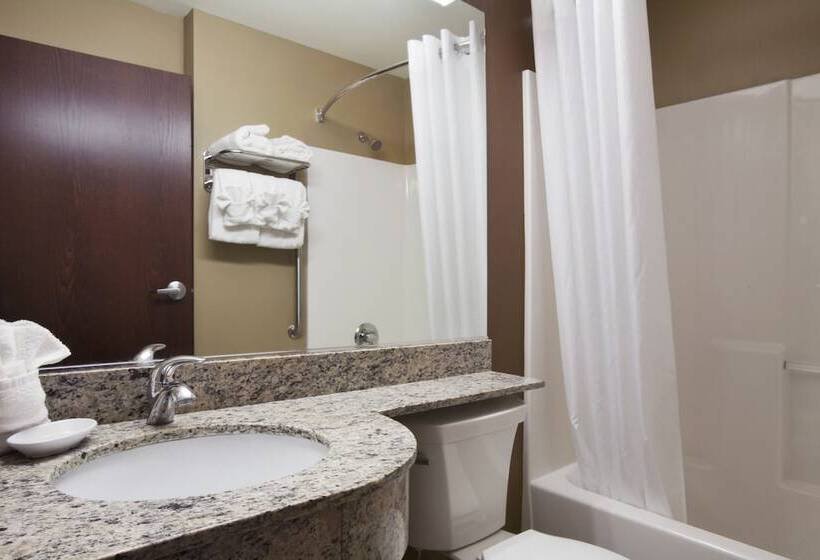 Microtel Inn & Suites