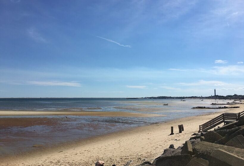 فندق على الطريق Beachfront White Sands